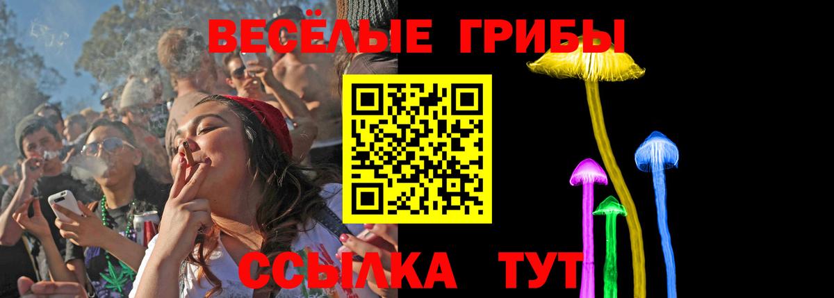 Псилоцибиновые грибы Psilocybe  Вход с VPN  Псилоцибиновые грибы прущие грибы  Владикавказ 